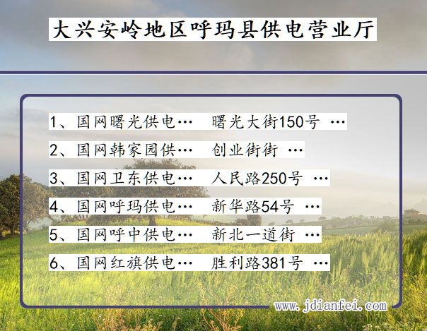 黑龙江省大兴安岭地区呼玛县供电营业厅